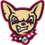 El Paso Chihuahuas